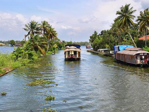 A Découvrir en Inde - Les Backwaters du Kerala
