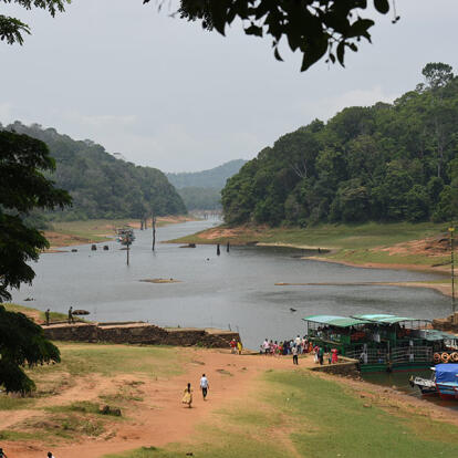 A Découvrir en Inde - Le Parc National de Periyar