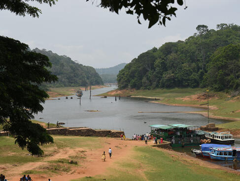 A Découvrir en Inde - Le Parc National de Periyar