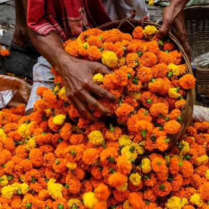 A Découvrir en Inde - Kolkata