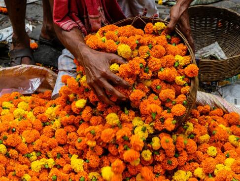 A Découvrir en Inde - Kolkata