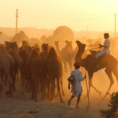 A Découvrir en Inde - Pushkar