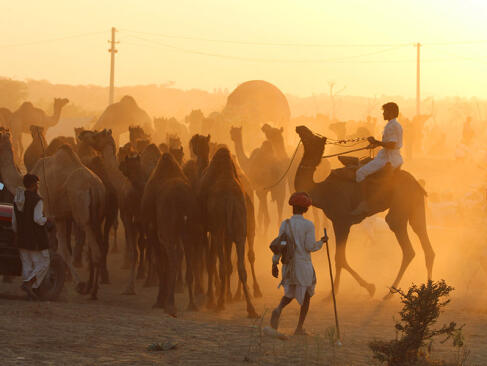 A Découvrir en Inde - Pushkar