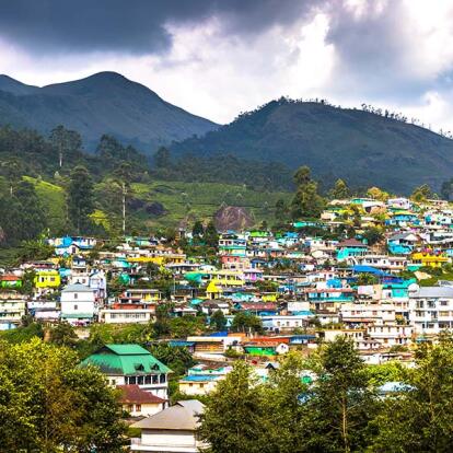 A Découvrir en Inde - Munnar
