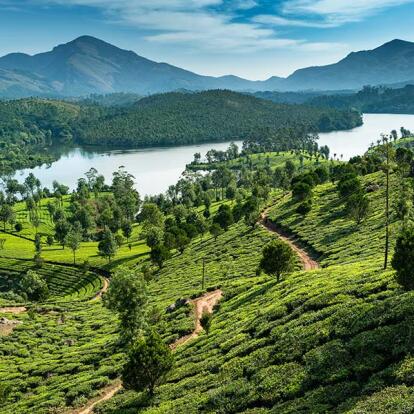 A Découvrir en Inde - Munnar