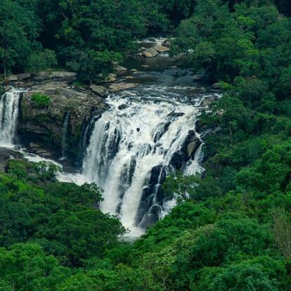 A Découvrir en Inde - Munnar