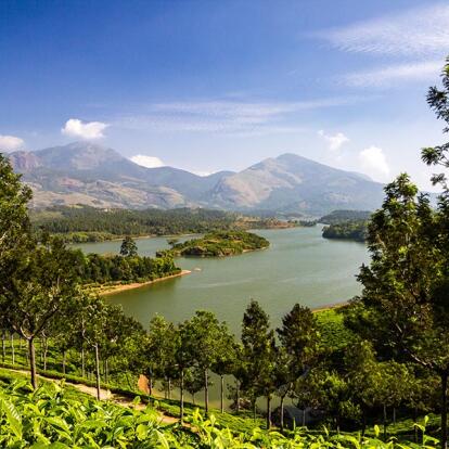 A Découvrir en Inde - Munnar
