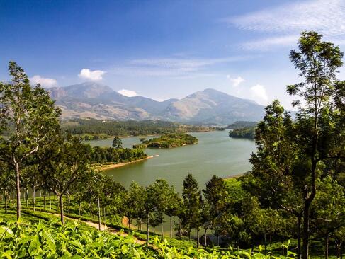 A Découvrir en Inde - Munnar