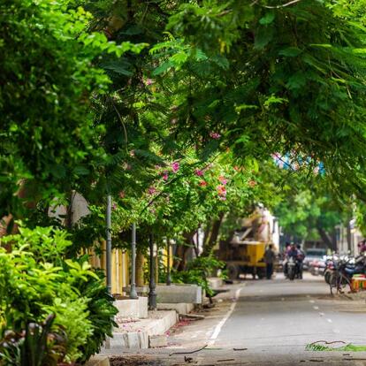 A Découvrir en Inde - Pondichéry