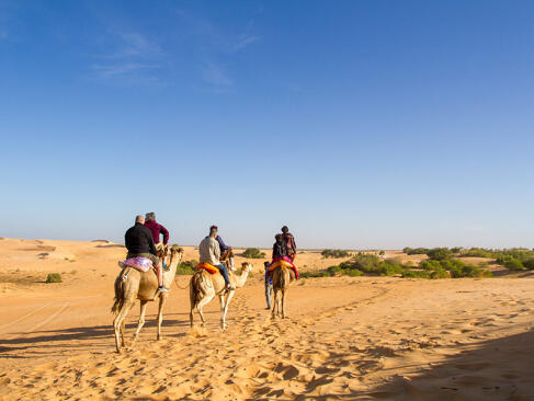 A Découvrir au Sénégal - Les Dunes de Lompoul