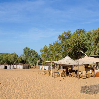 A Découvrir au Sénégal - Les Dunes de Lompoul