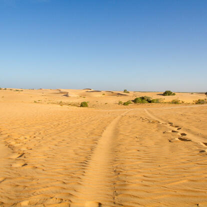 A Découvrir au Sénégal - Les Dunes de Lompoul