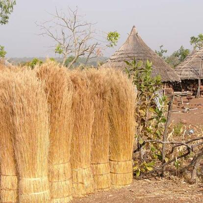 A Découvrir au Sénégal - Le pays Bassari
