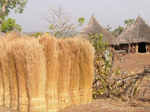 A Découvrir au Sénégal - Le pays Bassari