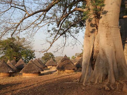 A Découvrir au Sénégal - Le pays Bassari