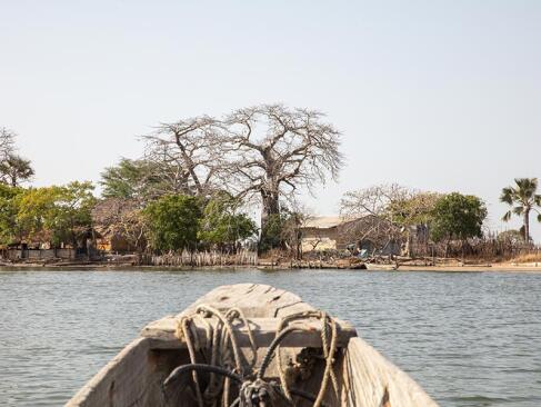 Casamance A Découvrir au Sénégal - La Casamance