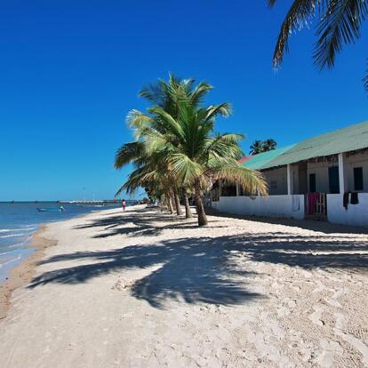 Casamance A Découvrir au Sénégal - La Casamance