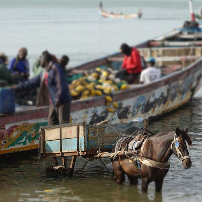 M'Bour A Découvrir au Sénégal - M'Bour