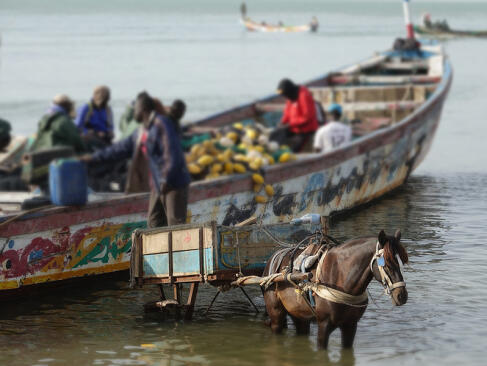 M'Bour A Découvrir au Sénégal - M'Bour