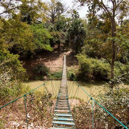 Parc National Du Niokolo-Koba A Découvrir au Sénégal - Le Parc national du Niokolo-Koba