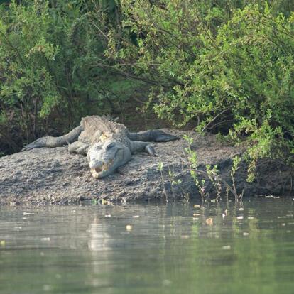 A Découvrir au Sénégal - Le Parc national du Niokolo-Koba