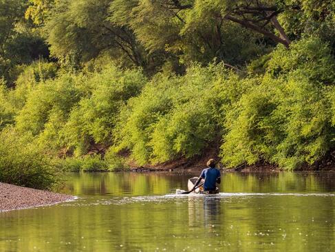 Parc National Du Niokolo-Koba A Découvrir au Sénégal - Le Parc national du Niokolo-Koba