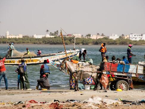 A Découvrir au Sénégal - Saint-Louis