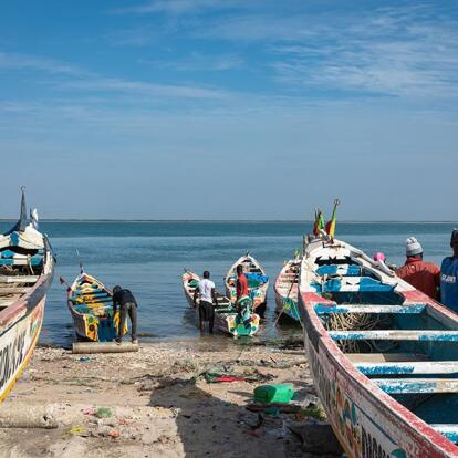 Djiffer A découvrir au Sénégal - Le Siné Saloum
