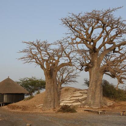A découvrir au Sénégal - Le Siné Saloum