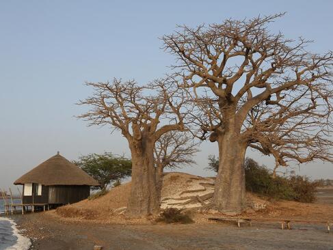 A découvrir au Sénégal - Le Siné Saloum