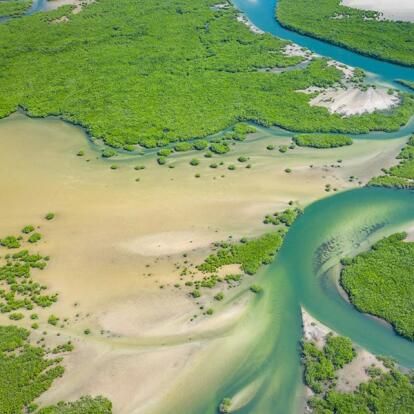 A découvrir au Sénégal - Le Siné Saloum