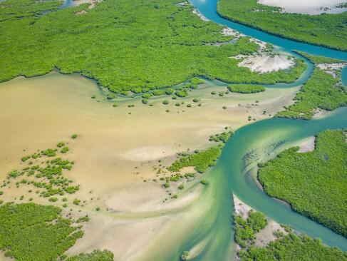 A découvrir au Sénégal - Le Siné Saloum