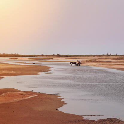 A découvrir au Sénégal - Le Siné Saloum