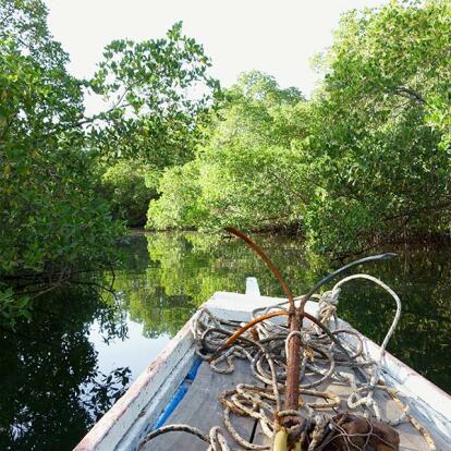 Siné Saloum, Ballade dans lez Bolongs A découvrir au Sénégal - Le Siné Saloum