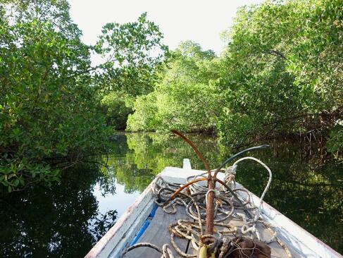A découvrir au Sénégal - Le Siné Saloum