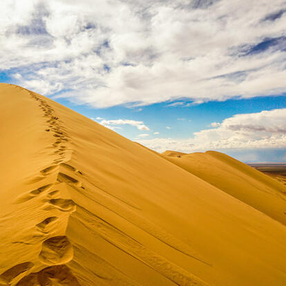 A Découvrir en Mongolie - Le Désert de Gobi