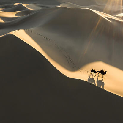 A Découvrir en Mongolie - Le Désert de Gobi