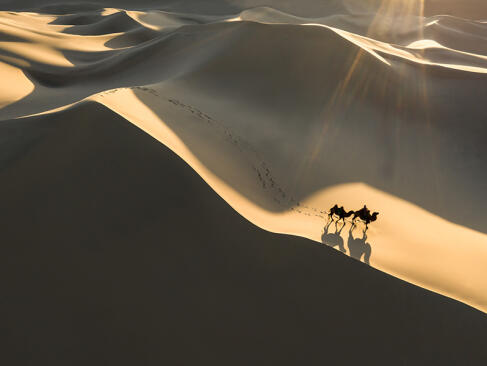 A Découvrir en Mongolie - Le Désert de Gobi