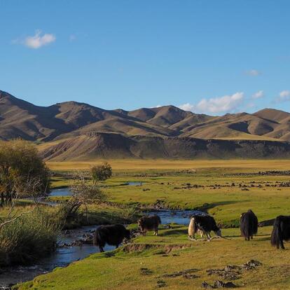 A Découvrir en Mongolie - La Vallée de l'Orkhon