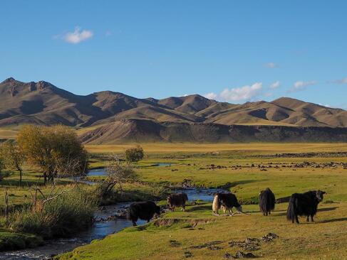 A Découvrir en Mongolie - La Vallée de l'Orkhon
