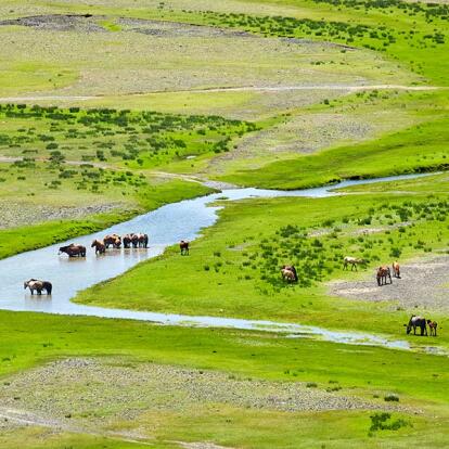 A Découvrir en Mongolie - La Vallée de l'Orkhon