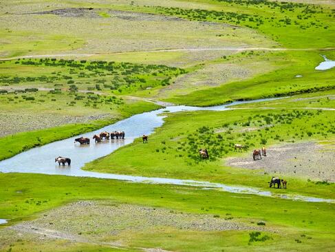 A Découvrir en Mongolie - La Vallée de l'Orkhon