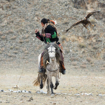 A Découvrir en Mongolie - La Chasse à l'Aigle