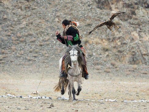 A Découvrir en Mongolie - La Chasse à l'Aigle