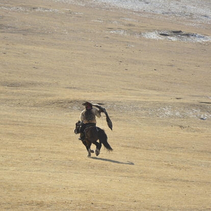 Chasse à l'Aigle en Mongolie A Découvrir en Mongolie - La Chasse à l'Aigle
