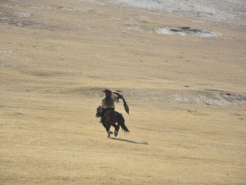 A Découvrir en Mongolie - La Chasse à l'Aigle