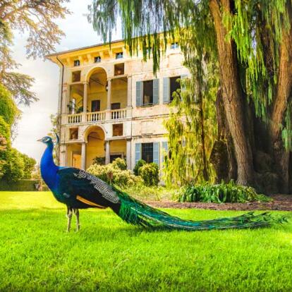 A Découvrir en Italie - Le Lac Majeur
