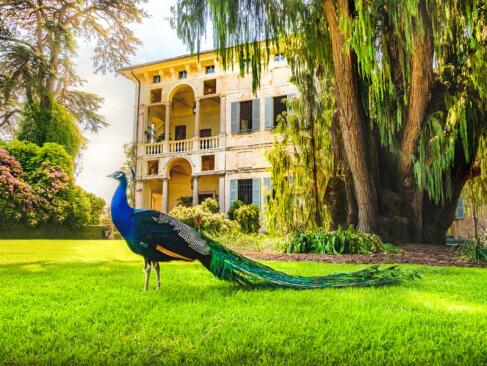 A Découvrir en Italie - Le Lac Majeur