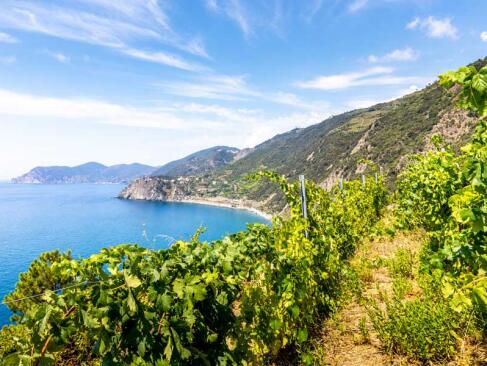 A Découvrir en Italie - Les Cinque Terre