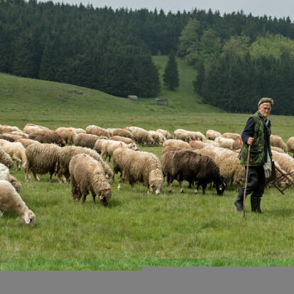 A Découvrir au Kosovo - Brezovica